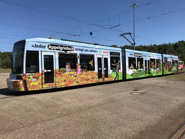 Autofolierung Referenz
